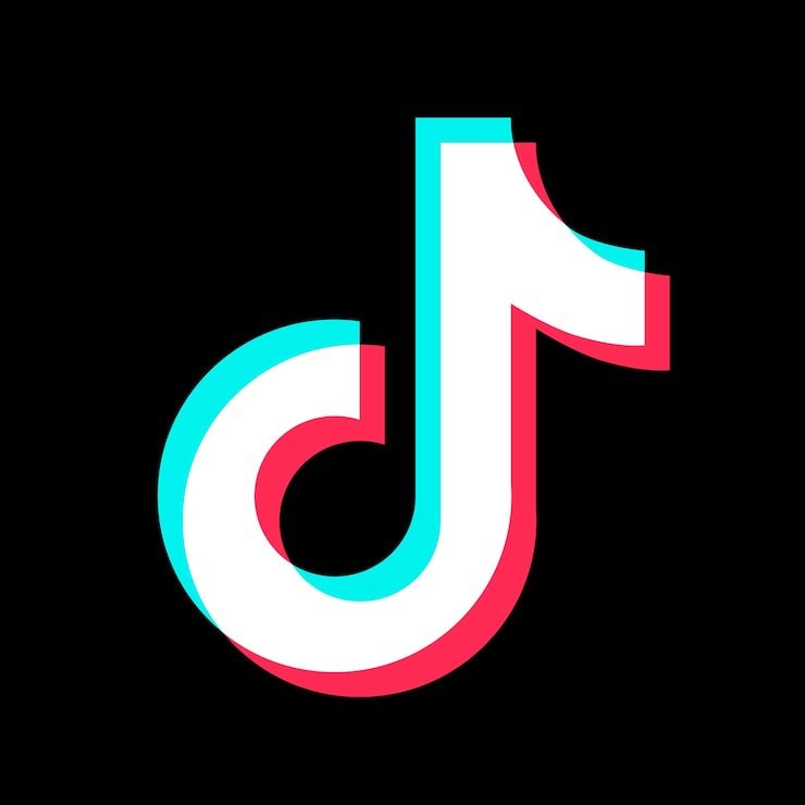 100 Seguidores TikTok